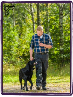 habilidades avançadas de treino de cães