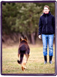 Fortgeschrittenes Hundetraining